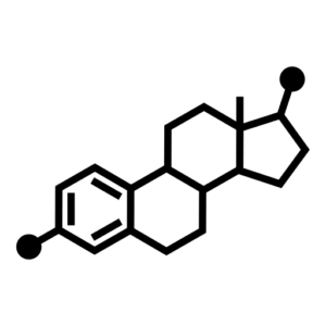 noun estrogen 6457874