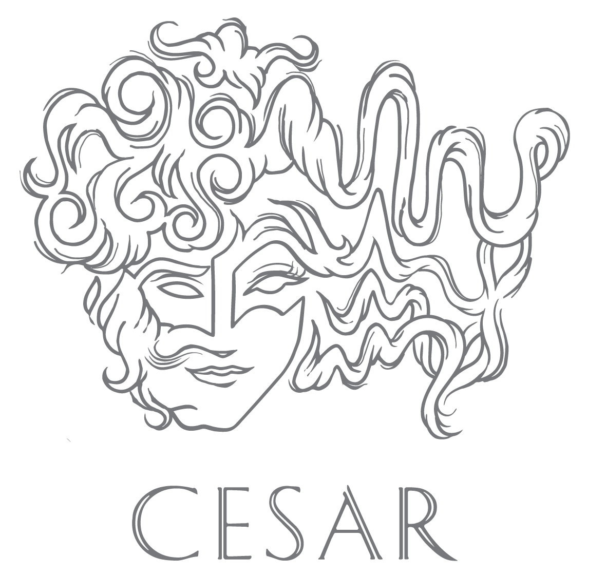 cesar 2021 update